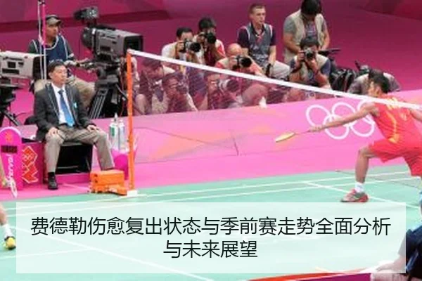费德勒伤愈复出状态与季前赛走势全面分析与未来展望